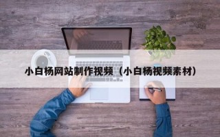 平顶山小白杨网站制作视频（小白杨视频素材）