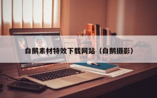 平顶山白鹅素材特效下载网站（白鹅摄影）